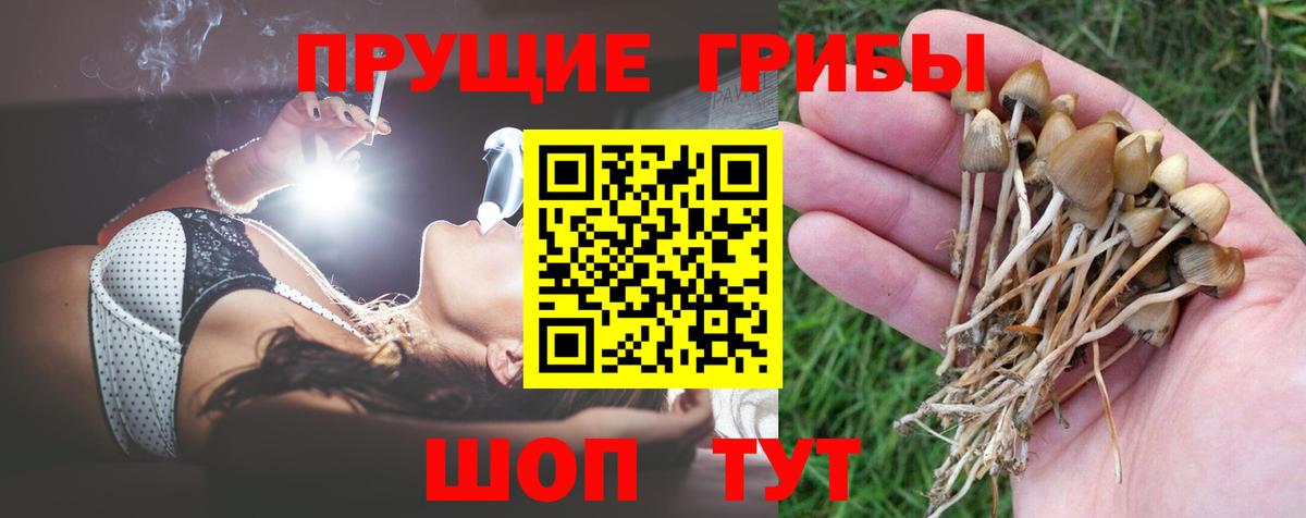 Галлюциногенные грибы мицелий  Псилоцибиновые грибы Cubensis  Вход с VPN  Ревда 